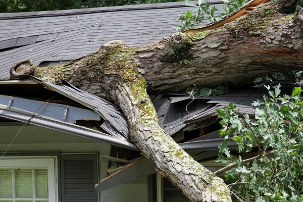 Storm Remediation in Franklin