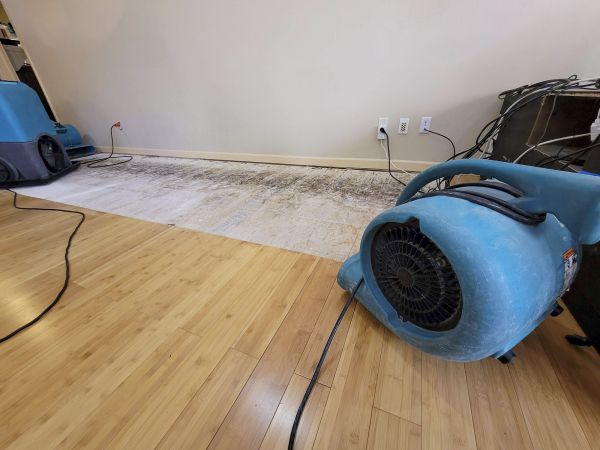 Water Damage Mitigation in Franklin